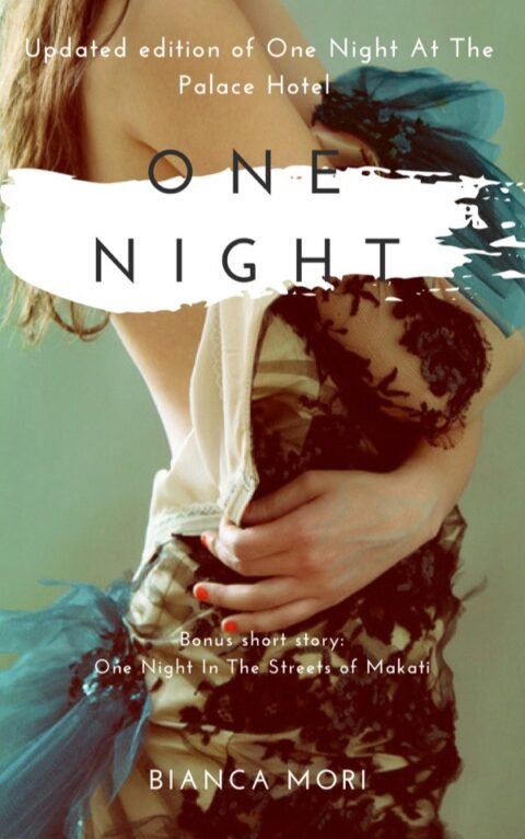 One Night at the Palace Hotel